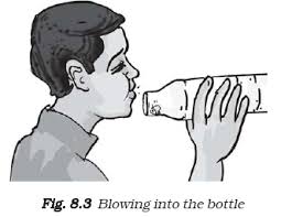 Winds Storms and Cyclones worksheet for class 7 | myCBSEguide | CBSE